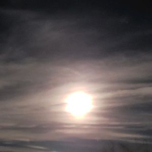 Meet your Posher, Carla